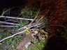 Veículo sai da pista e capota no interior de Tunápolis