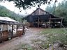 Temporal derruba árvores, alaga estradas e causa prejuízos no interior de SMOeste 