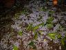 Forte chuva de granizo atinge municípios da região