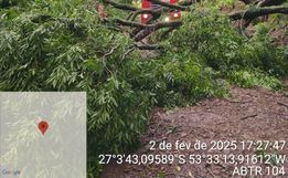 Temporal derruba 8 árvores e bloqueia trânsito no interior de São João do Oeste 