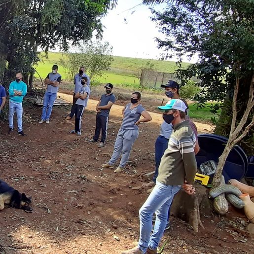 Profissionais da Epagri realizam capacitação técnica em Apicultura 