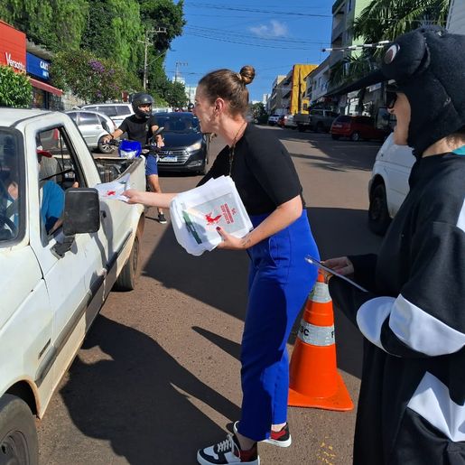 São Miguel do Oeste intensifica ações de combate à dengue