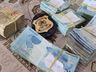 PF aprende reais, pesos e dólares de grupo contrabandista que atuava na região