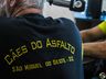 SMO: Grande procura leva Motocão a organizar áreas de camping para visitantes