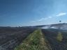 Incêndio em vegetação destrói cerca de 60 hectares de lavoura