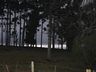 Vento e chuva  forte deixa prejuízos em Campo Erê e região  