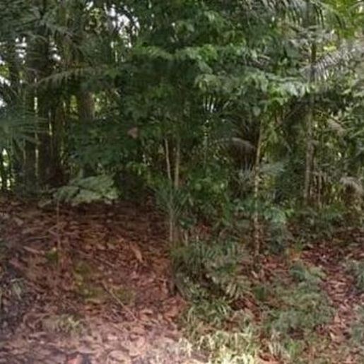 Grávida encontrada carbonizada em Itajaí foi morta por amigos, diz polícia