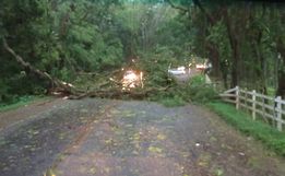 Temporal derruba árvores e danifica residências em Itapiranga