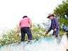 Mutirão ajuda famílias atingidas por chuva de granizo em Bandeirante