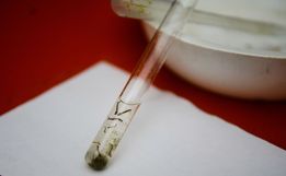 São José do Cedro confirma os dois primeiros focos da dengue do ano