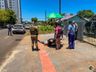 Homem é atropelado e motorista foge sem prestar socorro em São Miguel do Oeste