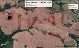 Agricultor é multado em R$ 90 mil por destruir mais de dez nascentes em Marmeleiro