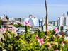Estiagem, temporais e até ondas de frio: veja como será a primavera