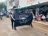 ITAPIRANGA: Desfile de Sete de Setembro reúne grande público; fotos 