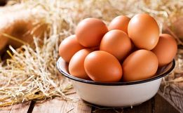 Brasil deve produzir 62 bilhões de ovos e consumir quase todos em 2025