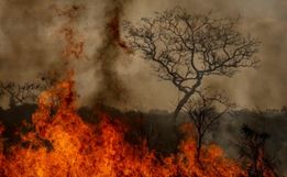 Desastres climáticos aumentaram 250% nos últimos quatro anos no país