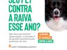 Uceff lança Campanha de Vacinação contra a Raiva