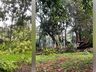 Temporal causa estragos em São Miguel do Oeste; fotos