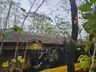 Raio causa incêndio em granja de suínos no interior de Itapiranga