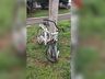 Colisão entre moto e bicicleta deixa dois feridos na BR-163