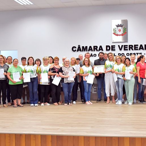Câmara presta homenagem aos 25 anos da Pastoral da Criança em SMO 
