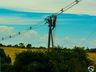 Você conhece seus direitos e deveres como consumidor de energia elétrica? 