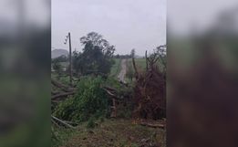 Após temporal, Celesc mobiliza mais de 25 equipes para restabelecer energia no Oeste catarinense
