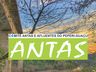 Comitê Rio das Antas organiza reunião para Planejamento Estratégico