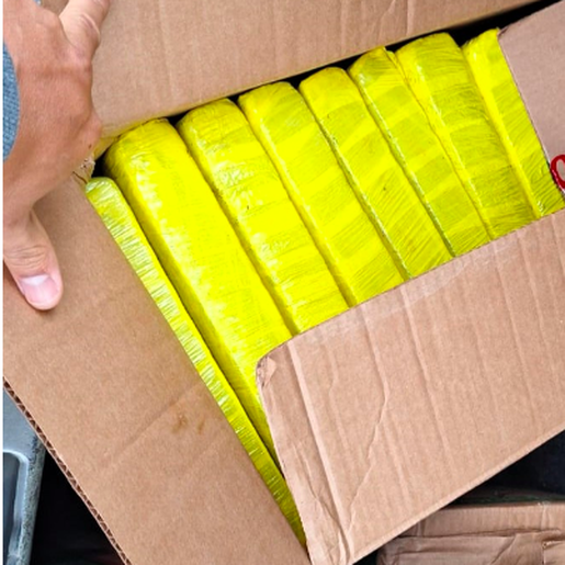 Motorista é preso com 51 kg de maconha na BR-282 