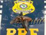 Homem é preso com revólver e munições na BR-282