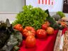 Epagri realiza Dia de Campo sobre Olericultura, em São Miguel do Oeste 
