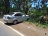 Motorista perde controle da direção e carro se choca contra árvore na SC 163