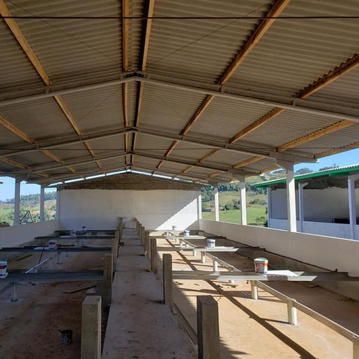 Família amplia produção de Suínos em SJCedro