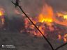 Bombeiros combatem incêndio em área de reflorestamento por 14 horas