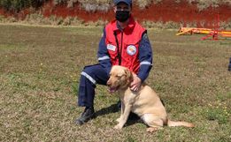 Corpo de Bombeiros Militar tem mais um cão certificado para buscas no Oeste