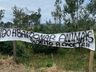 Terreno usado para abandono de animais ganha faixa de alerta em Santa Catarina
