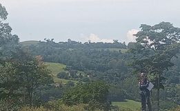 Seguem as buscas por mulher desaparecida no interior de Tunápolis