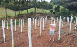 Jovem é contemplado com projeto do Instituto Souza Cruz para iniciar cultivo de pitayas 