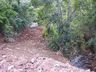Município inicia recuperação de área  de risco após entrega de moradias