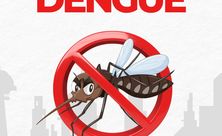 Guaraciaba reforça alerta contra dengue no feriado de Finados