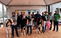 Qualidade genética e potencial leiteiro em destaque no julgamento de gado holandês da ExpoCedro 2025