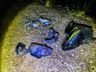 Jovem morre após colisão na BR-163 em Guaraciaba