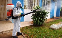 Primeiro “fumacê” no interior deve ocorrer na semana que vem 