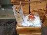 Epagri entrega kits para apicultores de SJCedro