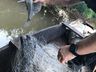 Período da Piracema encerra na região com aumento no número de apreensões de material de pesca