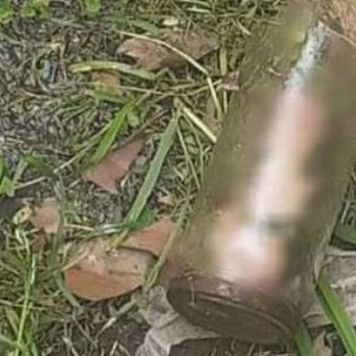 Homem descobre pênis decepado dentro de pote no jardim da casa da mãe