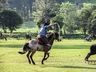 1º Torneio de Tiro de Laço de Vaca Mecânica movimenta Semana Farroupilha