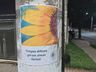 OUÇA: Leo Clube realiza campanha em São Miguel do Oeste