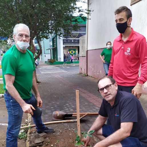 Voluntários plantam árvores em São Miguel do Oeste