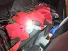 Galos usados para rinha são encontrados dentro de carro em SC
